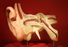 Što je Eustahijeva cijev?